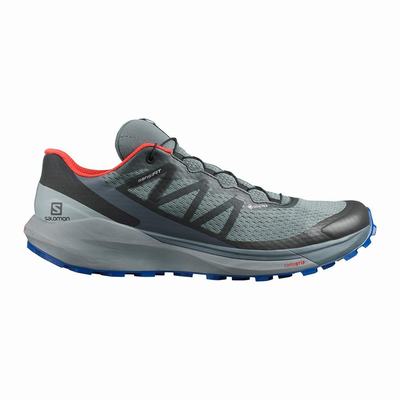 Férfi Salomon SENSE RIDE 4 GORE-TEX INVISIBLE FIT Terepfutó Cipő SA8123064 Sötét Kék/Fekete